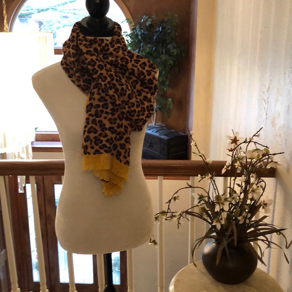 Pashmina - Picture 4 of 5